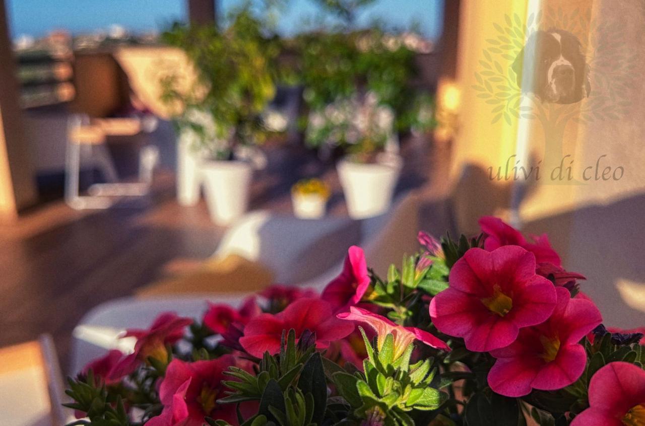 Ulivi Di Cleo Guest House Realmonte Exterior photo